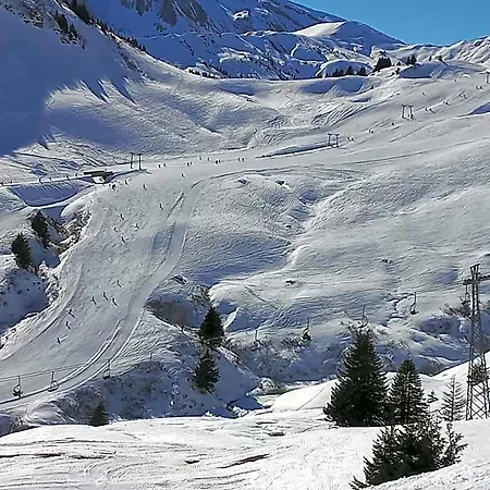 Отель Freeride Restaurant & Camps