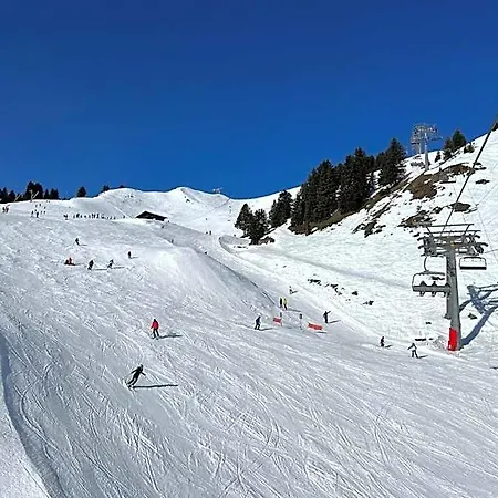Отель Freeride Restaurant & Camps Вилларс-Сур-Оллон